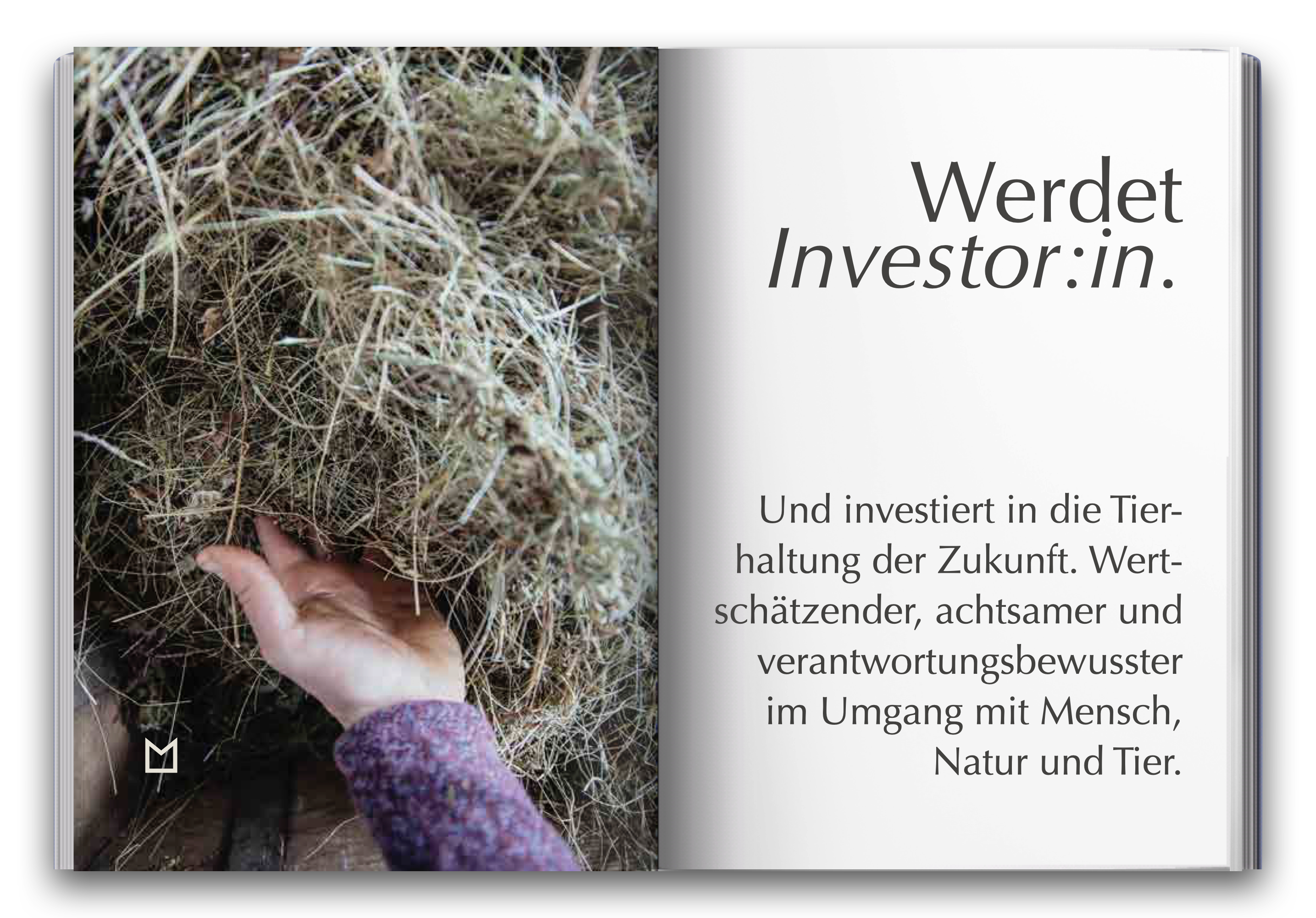 Info-Buechlein-View.005