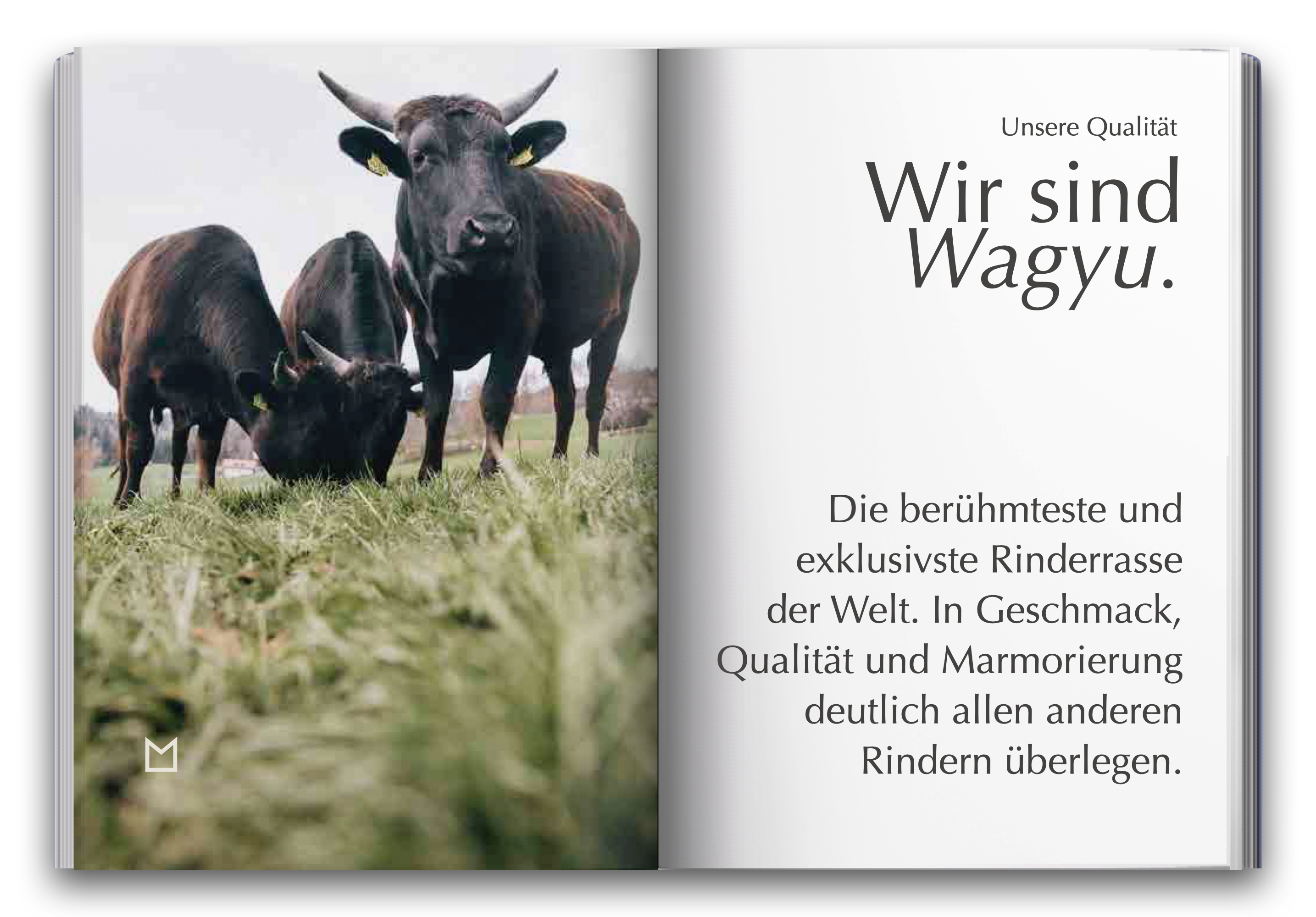 Info-Buechlein-View.008